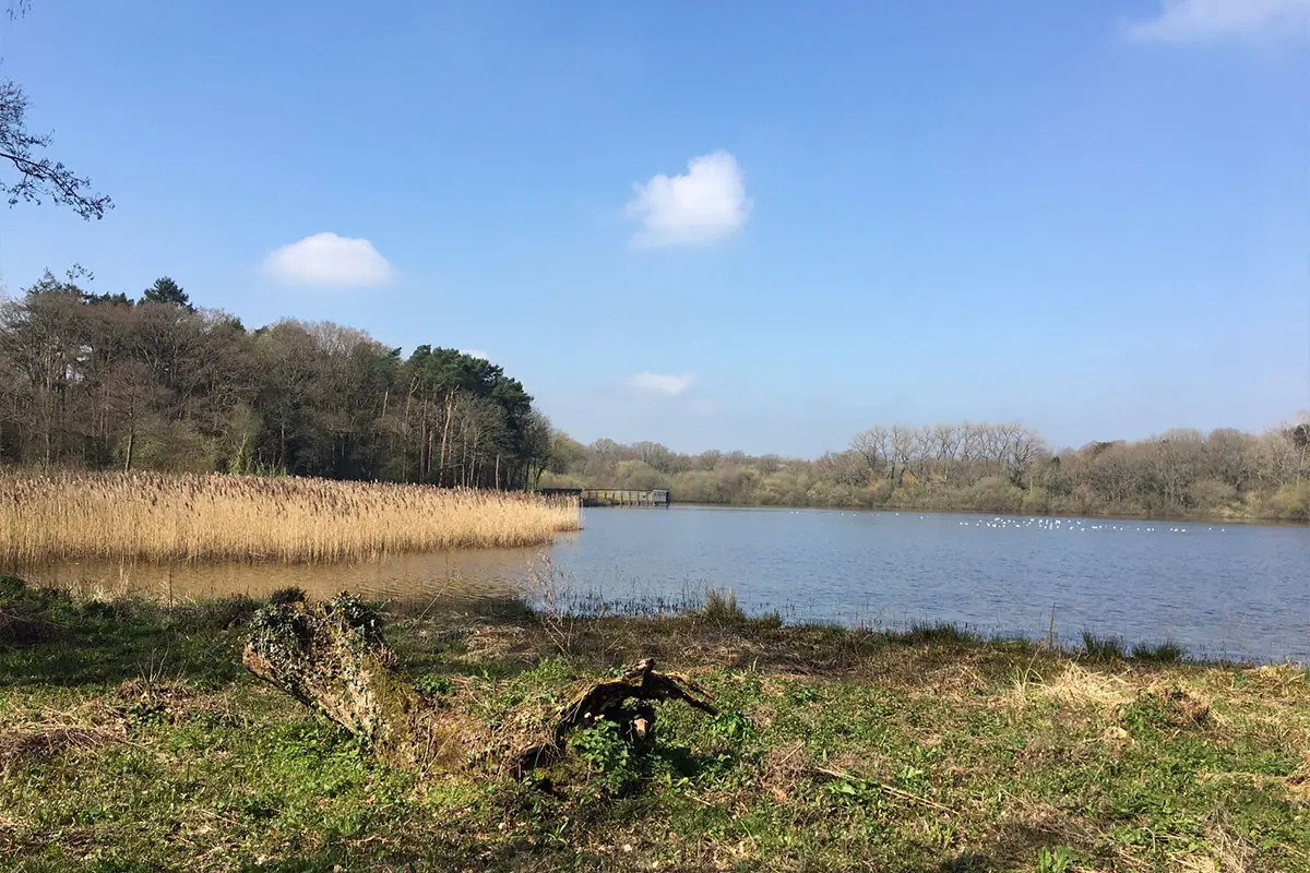 chard nature reserve